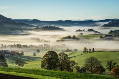 Profession in Faketown