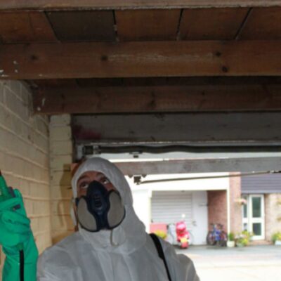 How to spray woodworm in The South