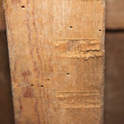Best way to treat Southern woodworm