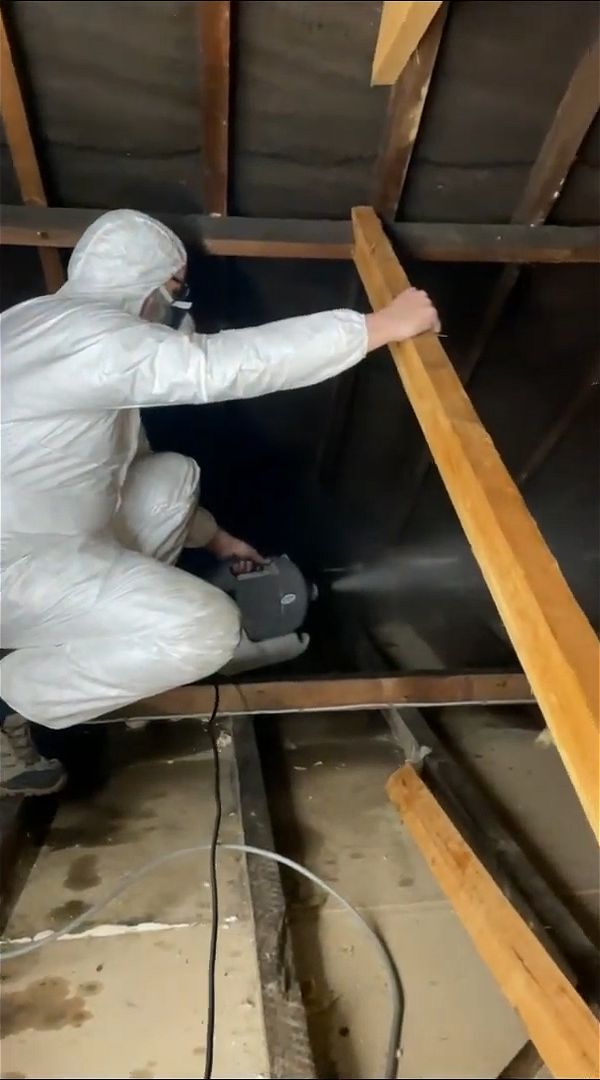 Woodworm Treatment cost in The South