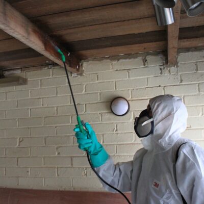 Company to treat woodworm in Southern property