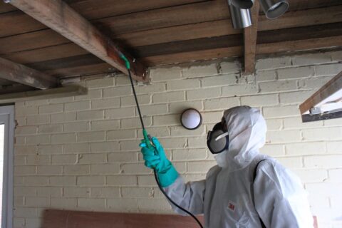 Effective <b>Treatment for Woodworm</b> in Homes